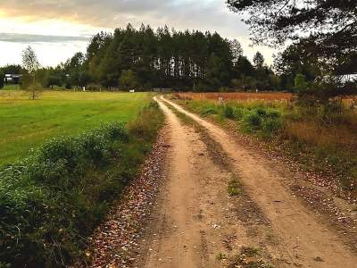                                     Lots for Sale  Szudziałowo
                                     | 3000 mkw