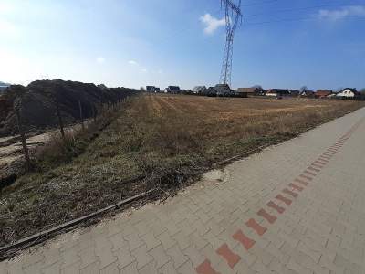         Lots for Sale, Kłodawa, Wojcieszycka | 1334 mkw