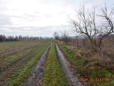         Działki na Sprzedaż, Syców, Polna | 1237 mkw