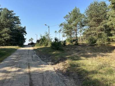         Parcela para Alquilar, Daszewice, Piotrowska | 42972 mkw