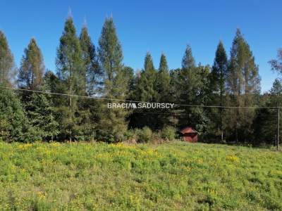                                     Lots for Sale  Alwernia (Gw)
                                     | 8900 mkw