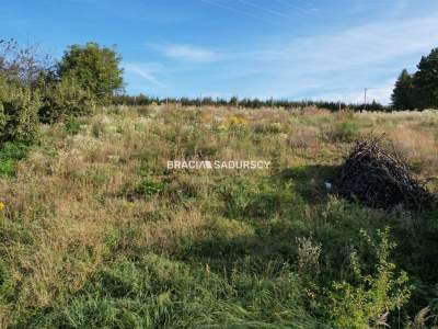                                     Lots for Sale  Iwanowice
                                     | 2447 mkw