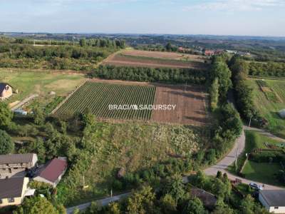                                     Lots for Sale  Iwanowice
                                     | 2447 mkw