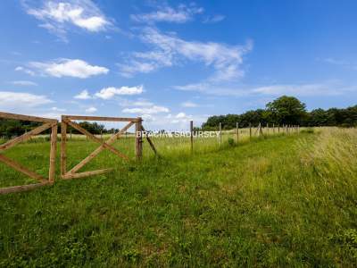         Działki na Sprzedaż, Chrzanów (Gw), Graniczna | 1576 mkw