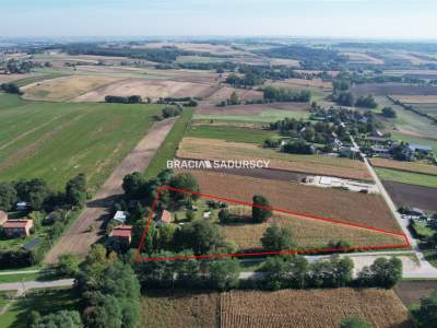                                     Lots for Sale  Kazimierza Wielka
                                     | 8300 mkw