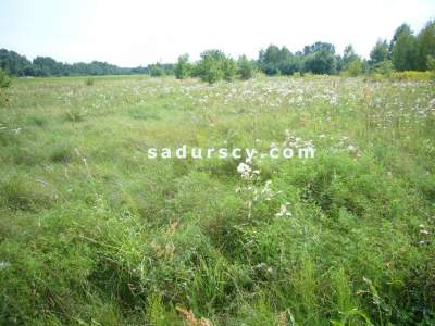                                     Lots for Sale  Lesznowola
                                     | 1000 mkw