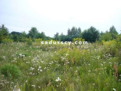                                     Lots for Sale  Lesznowola
                                     | 1000 mkw