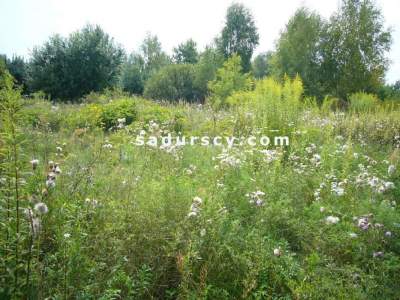                                     Lots for Sale  Lesznowola
                                     | 1000 mkw