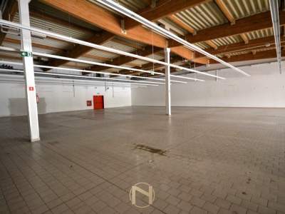                                     Commercial for Rent   Gorzów Wielkopolski
                                     | 440 mkw