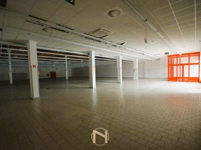                                     Commercial for Rent   Gorzów Wielkopolski
                                     | 440 mkw