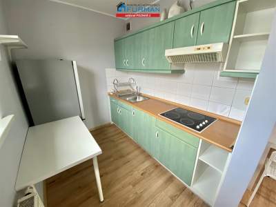                                     Flats for Rent   Poznań
                                     | 32 mkw