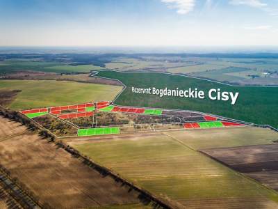                                     Lots for Sale  Baczyna
                                     | 1741 mkw