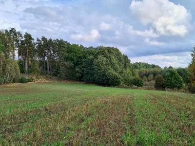                                     Lots for Sale  Stary Wiec
                                     | 1043 mkw