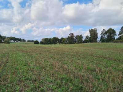                                    Lots for Sale  Stary Wiec
                                     | 1043 mkw