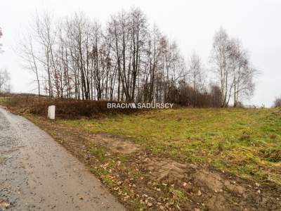                                     Lots for Sale  Wieliczka (Gw)
                                     | 3600 mkw