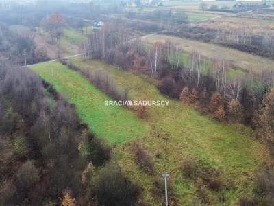                                     Lots for Sale  Wieliczka (Gw)
                                     | 3600 mkw