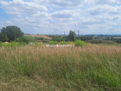                                     Lots for Sale  Kocmyrzów-Luborzyca
                                     | 4460 mkw