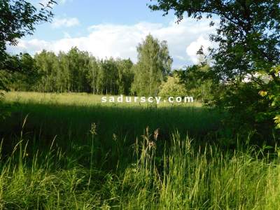                                     Lots for Sale  Lesznowola
                                     | 3244 mkw