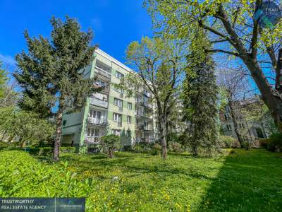         Apartamentos para Rent , Kraków, Widok | 34.5 mkw