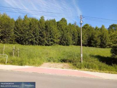                                     Lots for Sale  Janowice
                                     | 4200 mkw