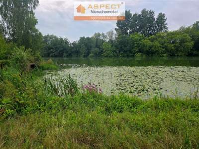                                     House for Sale  Bodzanów
                                     | 90 mkw