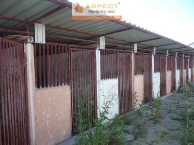                                     Casas para Alquilar  Kutno (Gw)
                                     | 300 mkw
