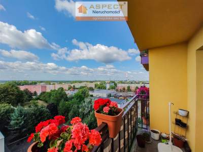                                     Flats for Sale  Zabrze
                                     | 63 mkw