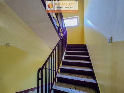                                     Flats for Sale  Zabrze
                                     | 50 mkw