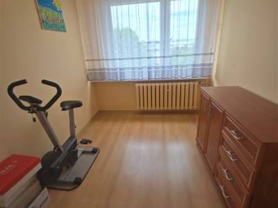                                     Apartamentos para Alquilar  Gostynin
                                     | 39 mkw