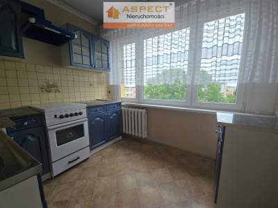                                     Apartamentos para Alquilar  Gostynin
                                     | 39 mkw