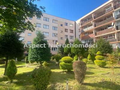                                     Flats for Sale  Rybnik
                                     | 49 mkw