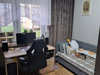                                     Apartamentos para Alquilar  Kutno
                                     | 52 mkw