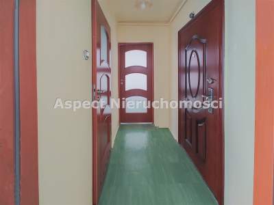                                     Apartamentos para Alquilar  Tychy
                                     | 37 mkw