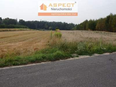                                     Lots for Sale  Rybnik
                                     | 1265 mkw
