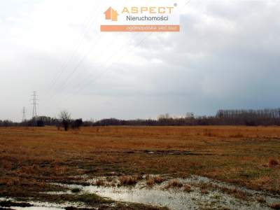                                     Lots for Sale  Pyskowice
                                     | 29680 mkw