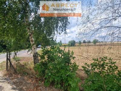                                     Lots for Sale  Radzanowo
                                     | 2518 mkw