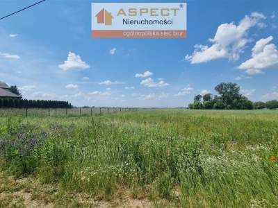                                     Lots for Sale  Radzanowo
                                     | 803 mkw