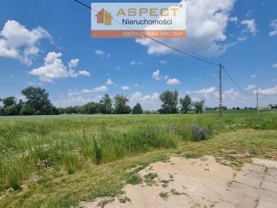                                     Lots for Sale  Radzanowo
                                     | 803 mkw