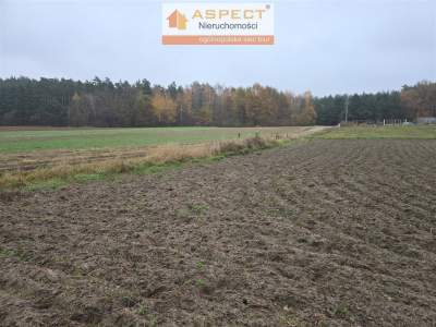                                     Lots for Sale  Gostynin (Gw)
                                     | 1235 mkw