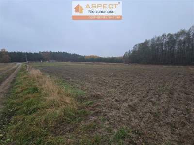                                     Lots for Sale  Gostynin (Gw)
                                     | 1235 mkw