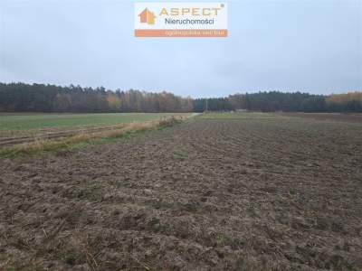                                     Lots for Sale  Gostynin (Gw)
                                     | 1235 mkw