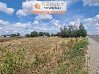                                     Lots for Sale  Radzanowo
                                     | 2518 mkw