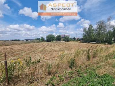                                     Lots for Sale  Radzanowo
                                     | 2518 mkw