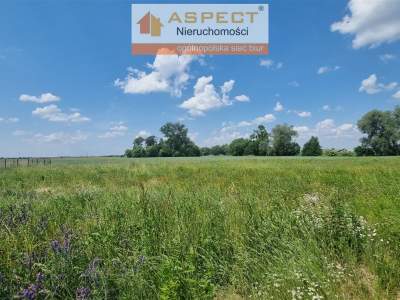                                     Lots for Sale  Radzanowo
                                     | 620 mkw