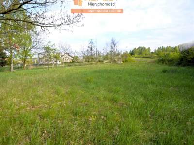                                     Lots for Sale  Bobrowniki
                                     | 1188 mkw