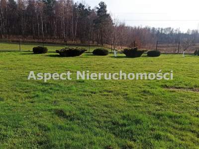                                     Lots for Sale  Rybnik
                                     | 1036 mkw