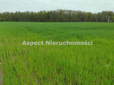                                     Lots for Sale  Rybnik
                                     | 876 mkw