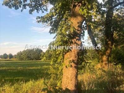                                     Lots for Sale  Strumień (Gw)
                                     | 20683 mkw