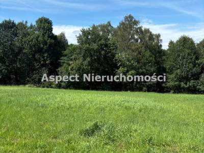                                     Lots for Sale  Zebrzydowice
                                     | 3077 mkw