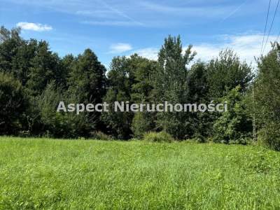                                     Lots for Sale  Zebrzydowice
                                     | 3077 mkw